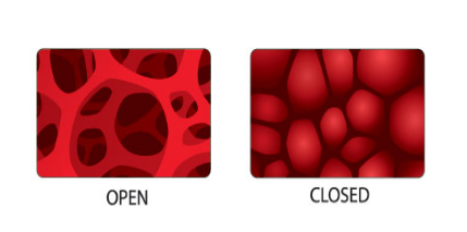 Open and Closed Cell Foam